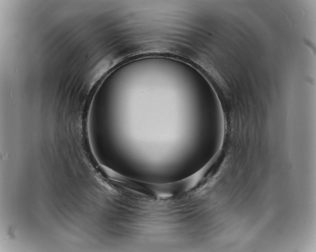 X0000098200834200804241251
