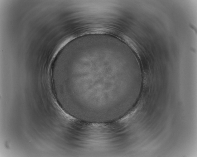 X0000098200835200804241251