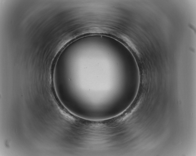 X0000098200837200804241251