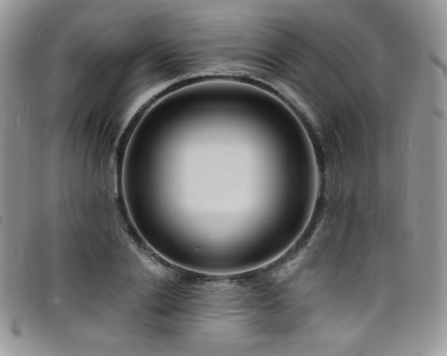 X0000098200838200804241251
