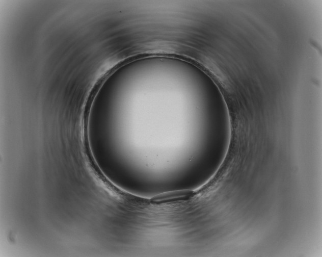 X0000098200840200804241251