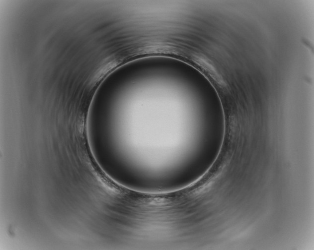 X0000098200841200804241251