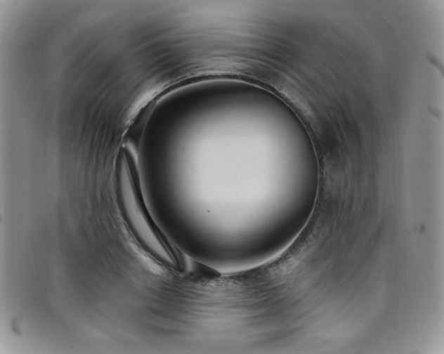 X0000098200842200804241251