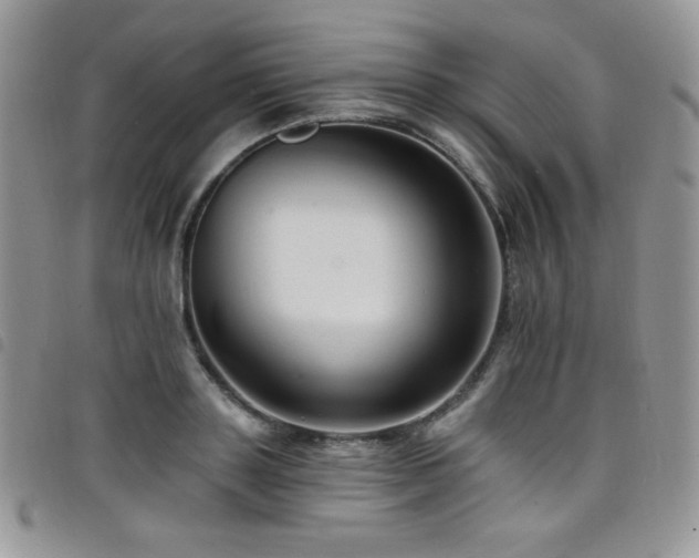 X0000098200843200804241251