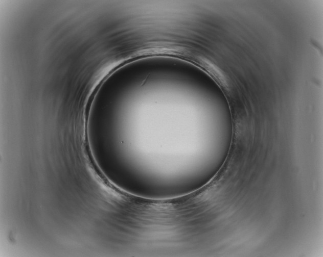 X0000098200844200804241251
