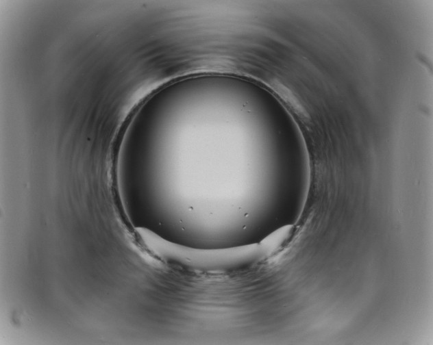 X0000098200846200804241251