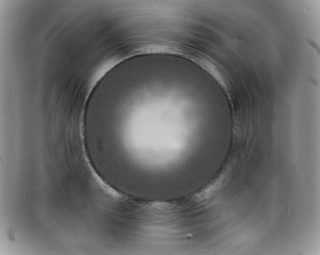 X0000098200847200804241251