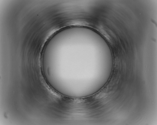 X0000098200848200804241251