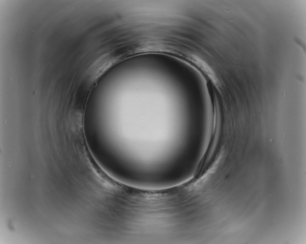 X0000098200849200804241251