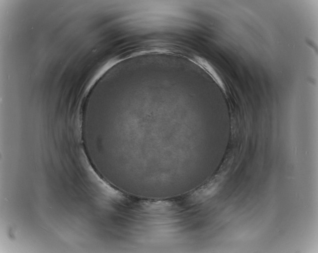 X0000098200851200804241251