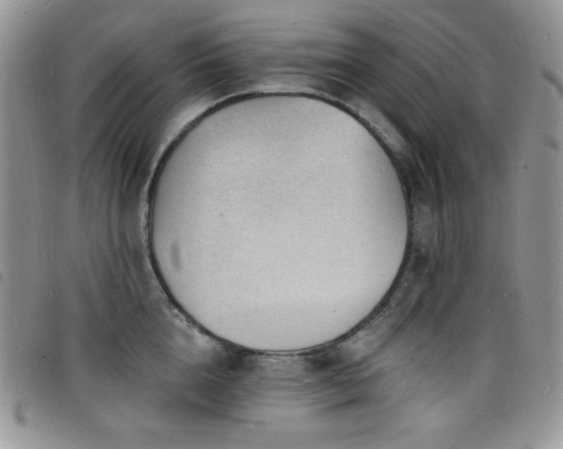 X0000098200856200804241251