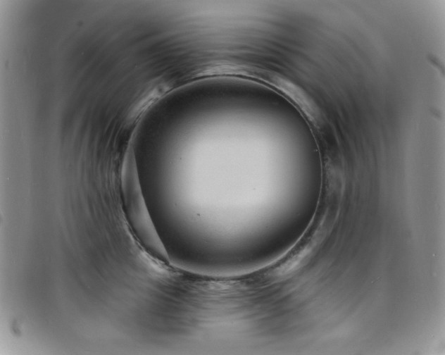 X0000098200857200804241251