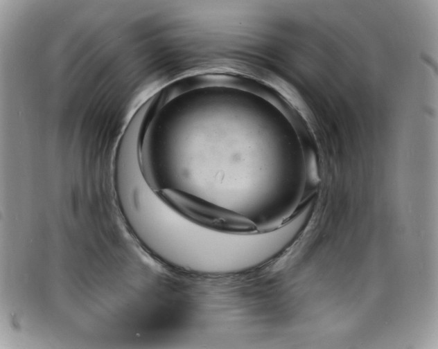X0000098200858200804241251