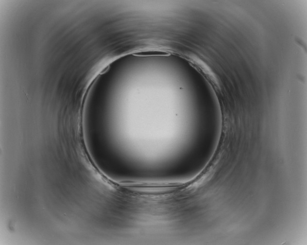 X0000098200860200804241251