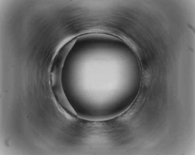 X0000098200862200804241251