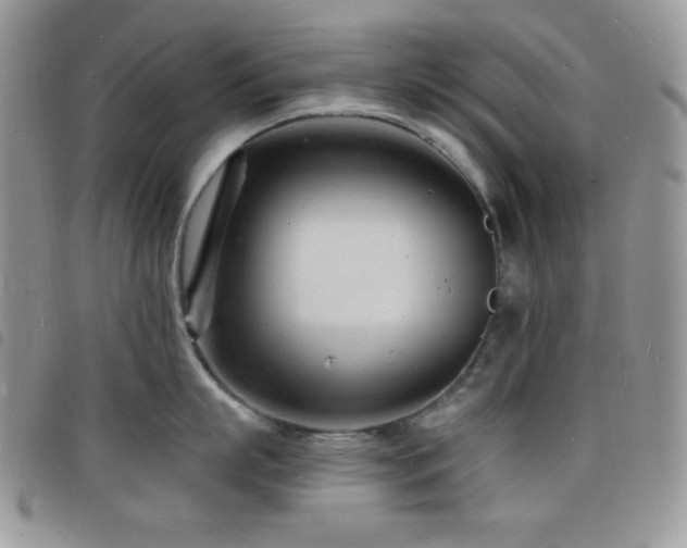 X0000098200863200804241251