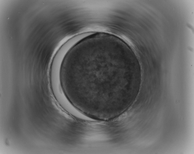X0000098200864200804241251