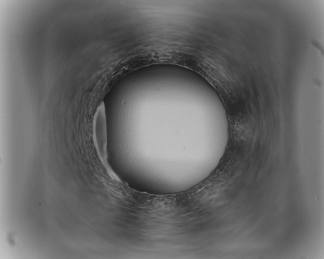 X0000098200865200804241250