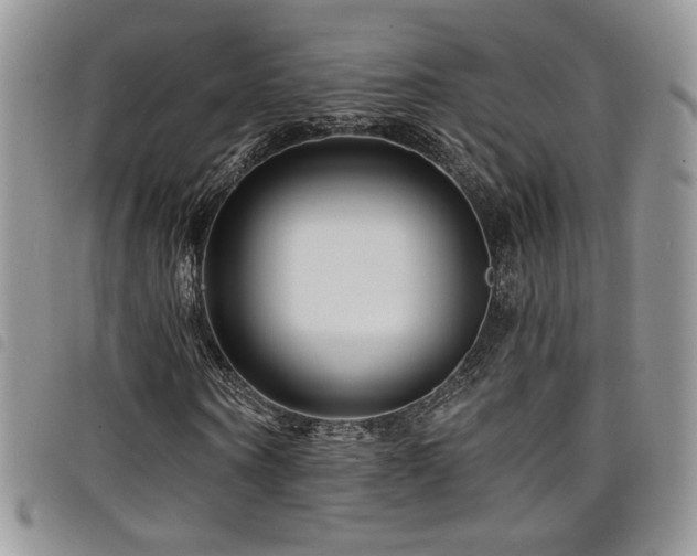 X0000098200866200804241250