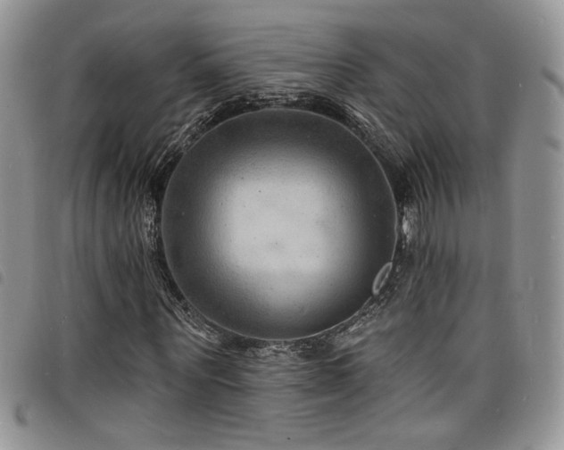 X0000098200867200804241250