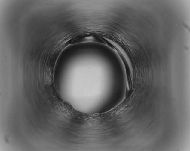 X0000098200868200804241250