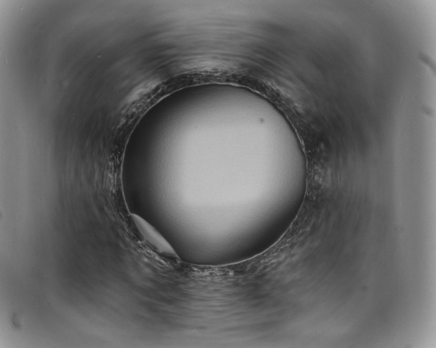 X0000098200869200804241250