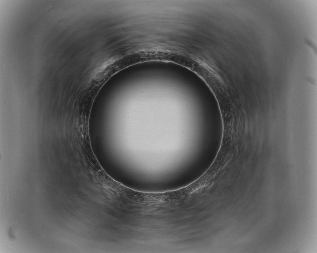 X0000098200870200804241250