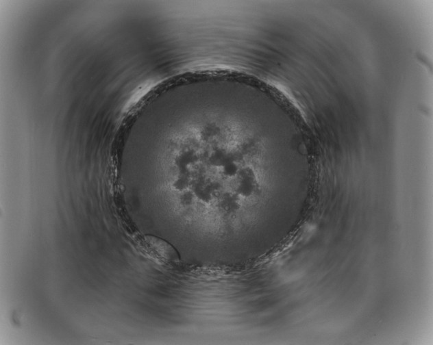 X0000098200871200804241250
