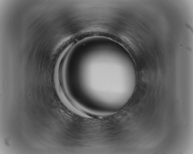 X0000098200872200804241250