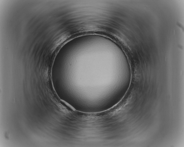 X0000098200873200804241250