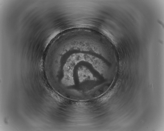 X0000098200875200804241250