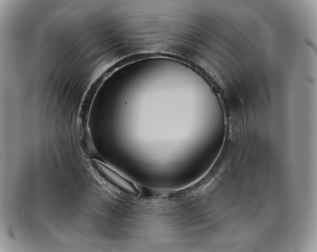 X0000098200876200804241250