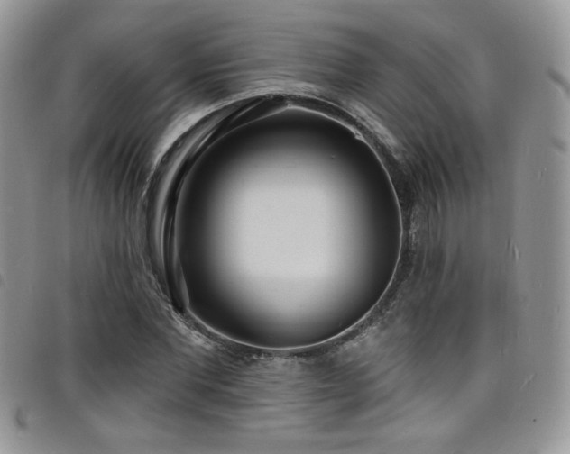 X0000098200877200804241250
