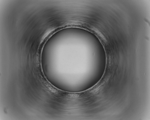 X0000098200878200804241250