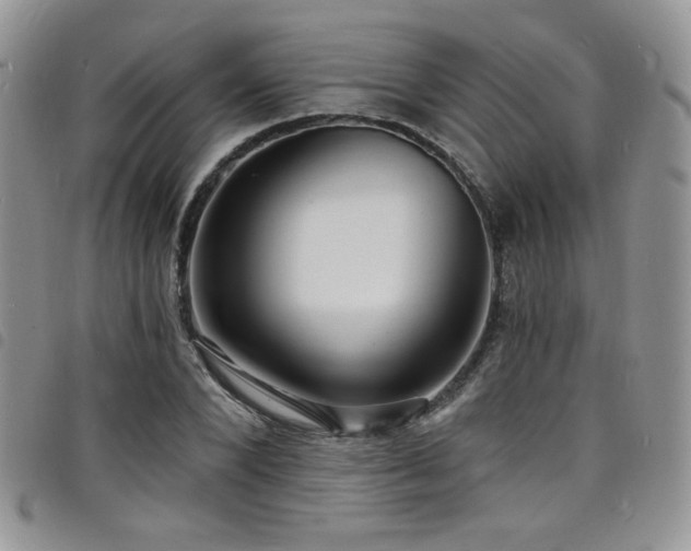 X0000098200880200804241250