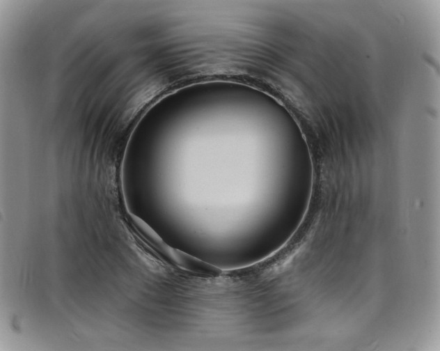 X0000098200881200804241250