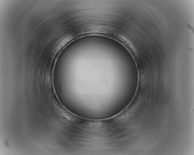 X0000098200882200804241250