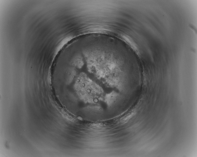X0000098200883200804241250