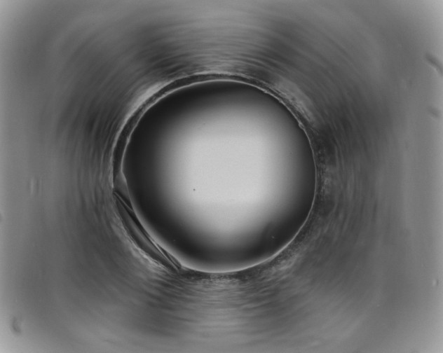 X0000098200884200804241250