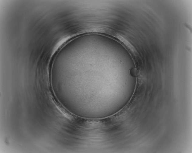 X0000098200886200804241250