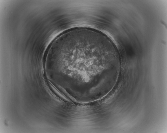 X0000098200887200804241250