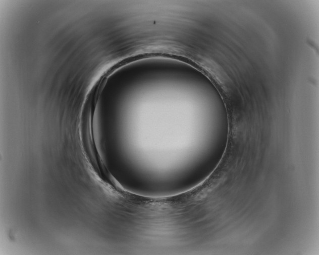 X0000098200888200804241250