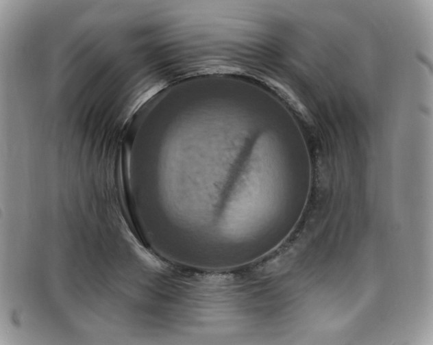 X0000098200889200804241250