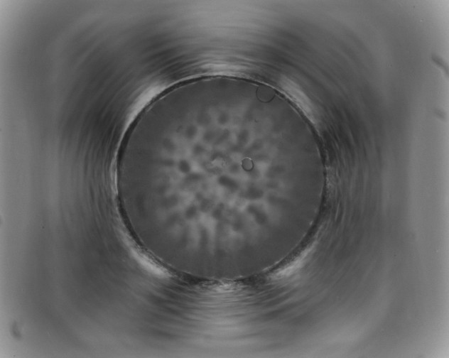 X0000098200891200804241250