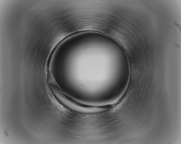 X0000098200892200804241250