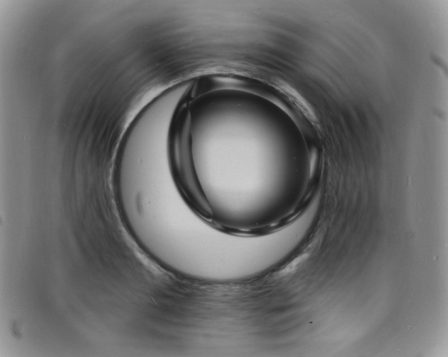 X0000098200893200804241250
