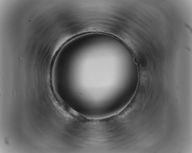 X0000098200896200804241250