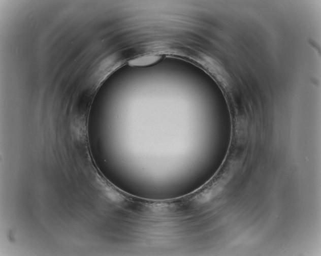 X0000098200897200804241250