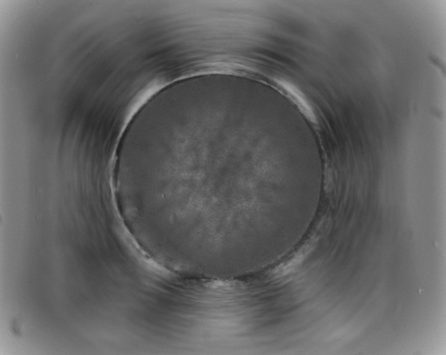 X0000098200899200804241250