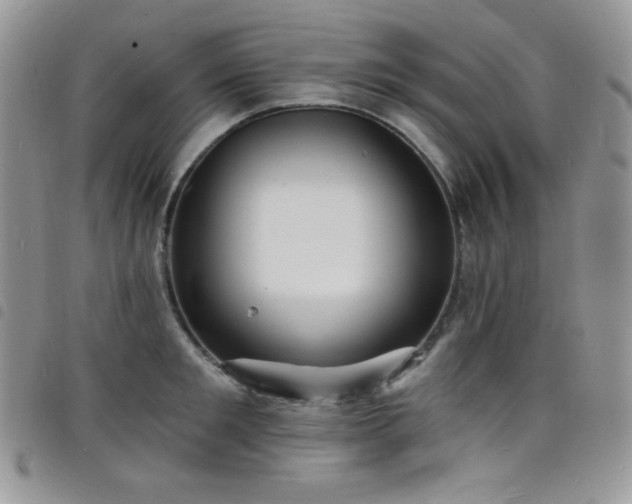 X0000098200901200804241250